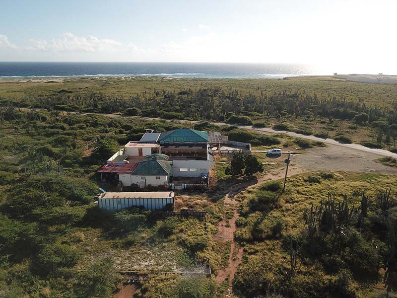 Aerial view of Kite Inn Aruba surrounded by tropical greenery near Boca Grandi